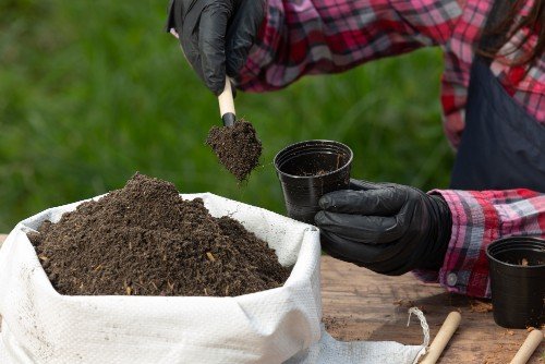 closeup-picture-gardener-s-hands-planting-plant